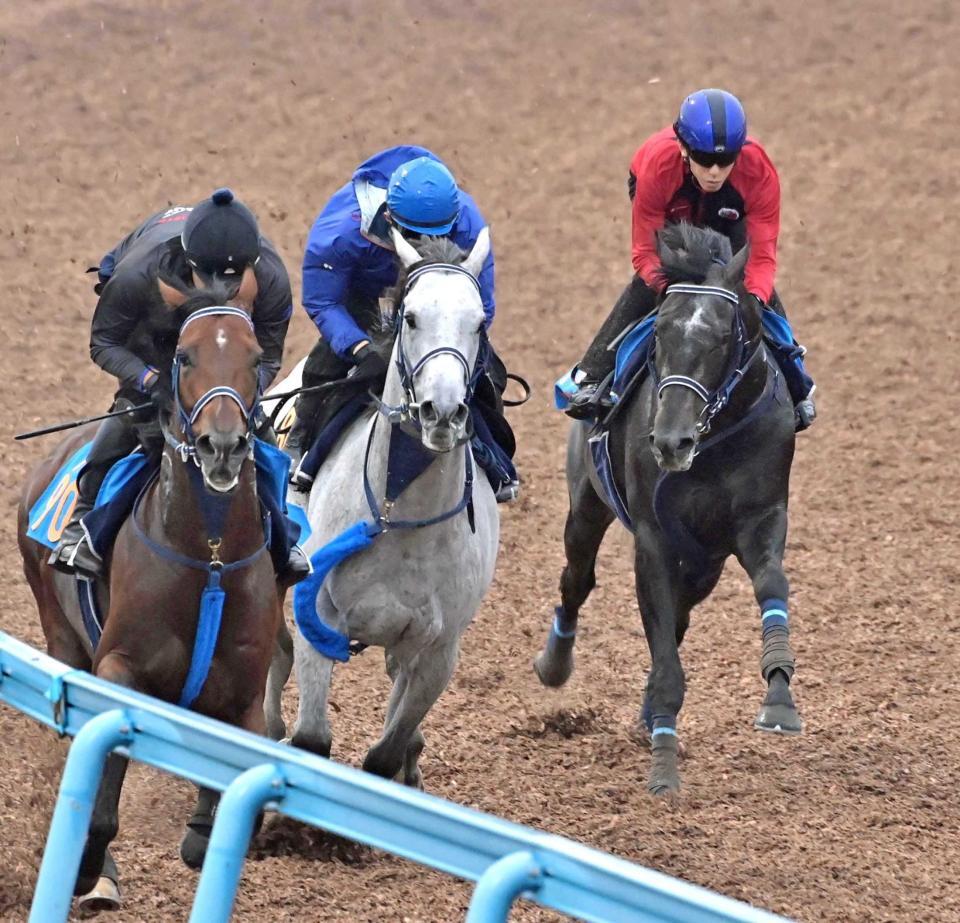 　美浦Ｗで最先着を決めたリアライズシリウス（右）＝撮影・持木克友