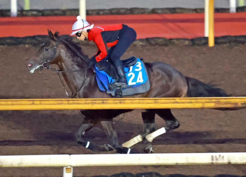 　栗東ＣＷを軽快に駆け抜けたダノンシーマ（撮影・石湯恒介）
