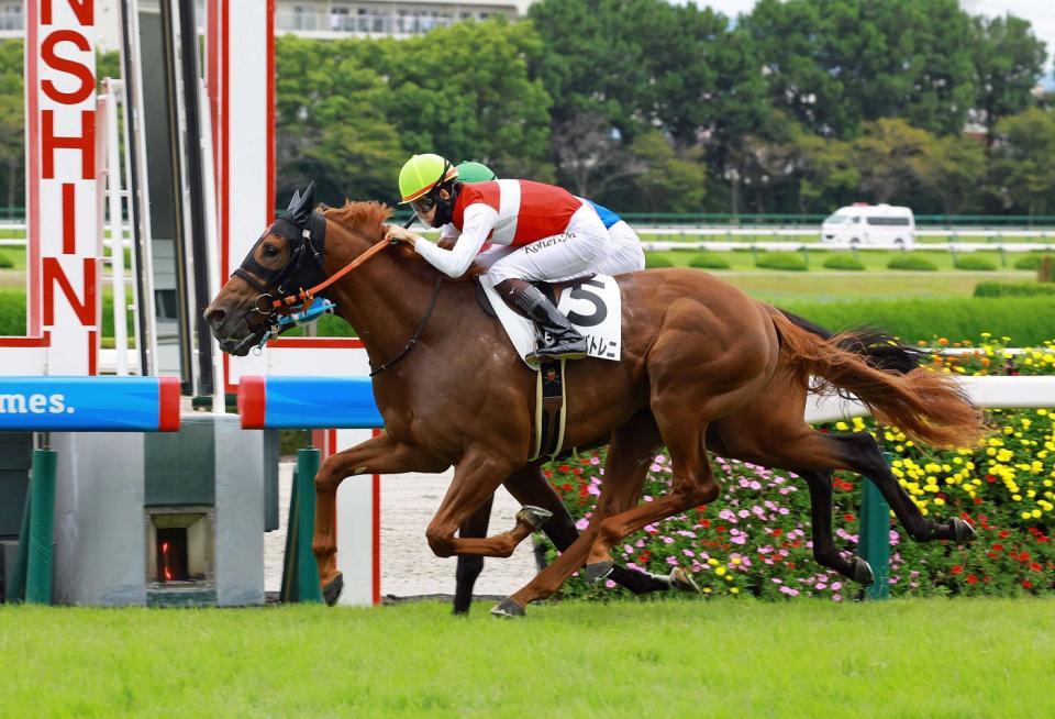 未勝利戦を制したショウナンバトレニ＝９月１２日