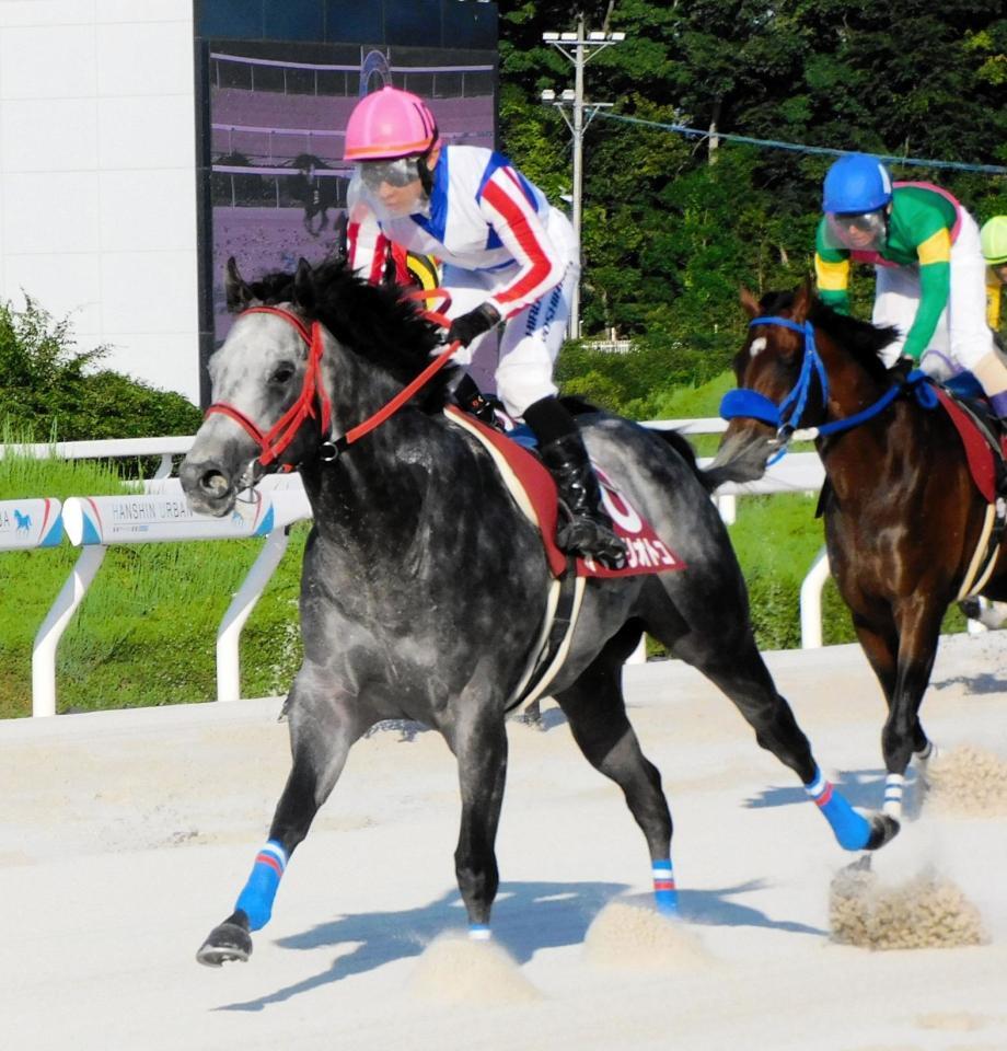 重賞連勝を果たしたオマツリオトコ（左）