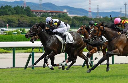 未勝利戦を制したマリアンデール＝９月２１日