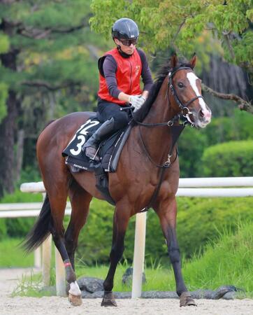 　Ｖ発進を狙う良血馬ジーティーギャング