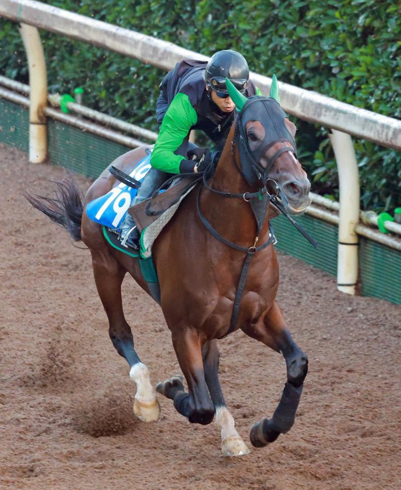 　栗東坂路で好ムードを漂わせたサヴォーナ（撮影・石湯恒介）