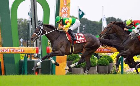 京都大賞典を制したエコロディノス（撮影・石湯恒介）