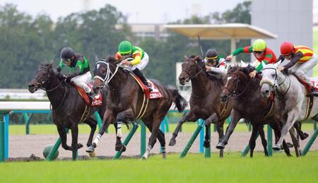 力強く抜け出すエコロディノス（左から２頭目）＝撮影・石湯恒介