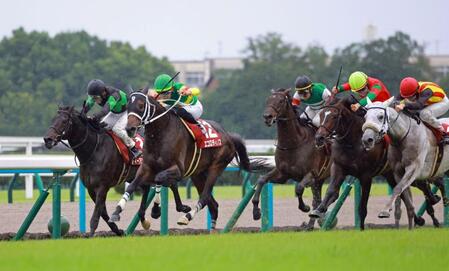 力強く抜け出すエコロディノス（左から２頭目）＝撮影・石湯恒介