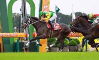 京都大賞典を制したエコロディノス（撮影・石湯恒介）
