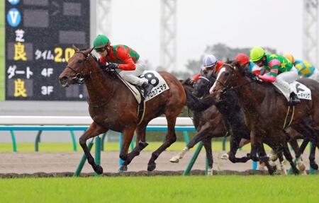 新馬戦を制したトロカアニマダ（撮影・石湯恒介）