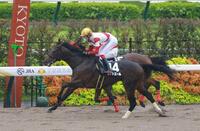 藤森Ｓを制したゼットエール（撮影・石湯恒介）