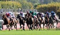 第１０５回凱旋門賞でダリズ（中央）がゴール前で抜け出し連覇達成。アドマイヤテラ（右端）は11着、メイショウタバル（右から２頭目）は14着＝パリロンシャン競馬場（共同）