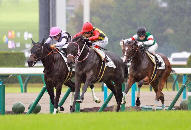 新馬戦を制したブライトスクリプト（中央）＝撮影・石湯恒介