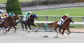 後続を突き放すヴェントセラーレ（右端）