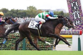 シドニーハーバーを差し切ったジョーティス（手前）