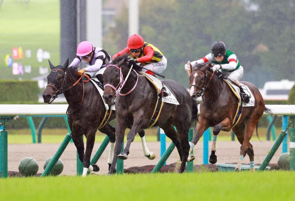 新馬戦を制したブライトスクリプト（中央）＝撮影・石湯恒介