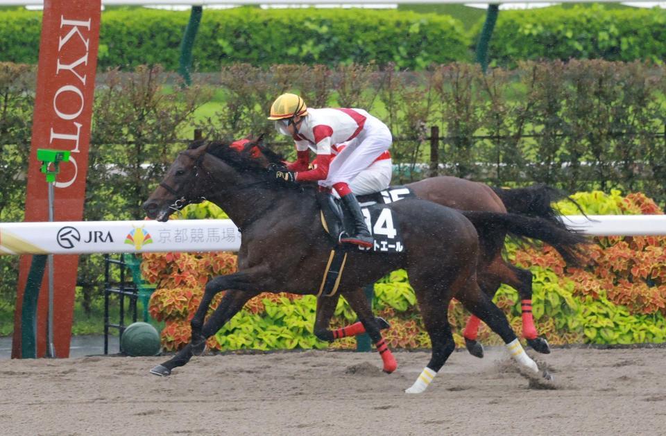 藤森Ｓを制したゼットエール（撮影・石湯恒介）