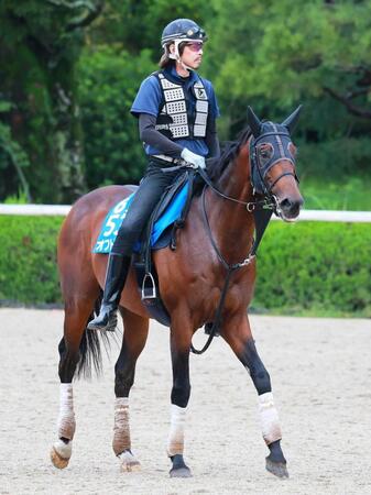 　連覇を狙うオフトレイル