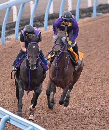 　馬体も成長し、反撃の準備は整ったジョスラン（右）＝撮影・持木克友