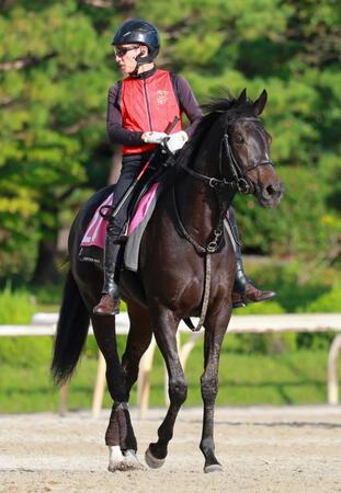 　期待の良血馬キューティボンド（撮影・石湯恒介）