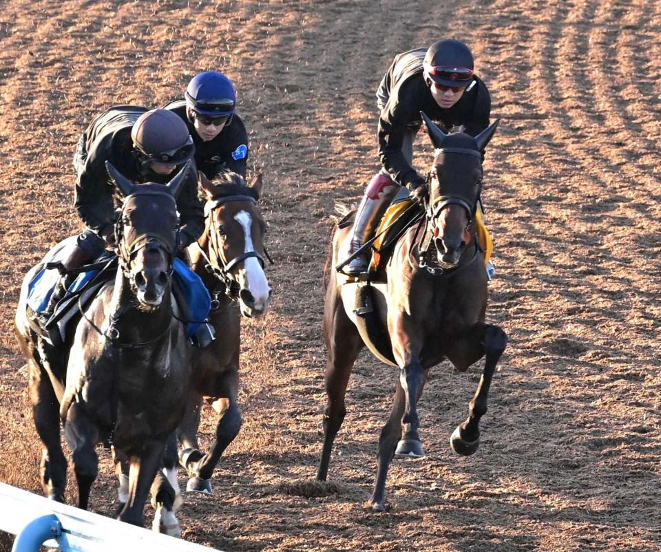 　連敗ストップへ力が入るニシノティアモ（右）＝撮影・持木克友