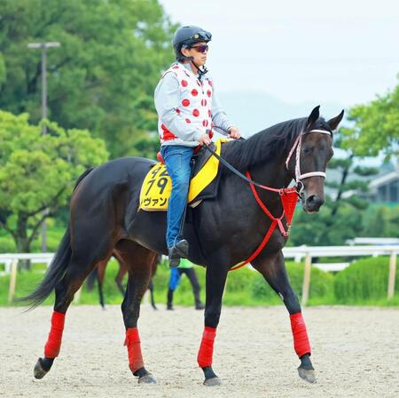 ラヴァンダ