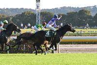 １１ＲサウジアラビアＲＣをアゴルディーノで制しガッツポーズの横山和（撮影・持木克友）
