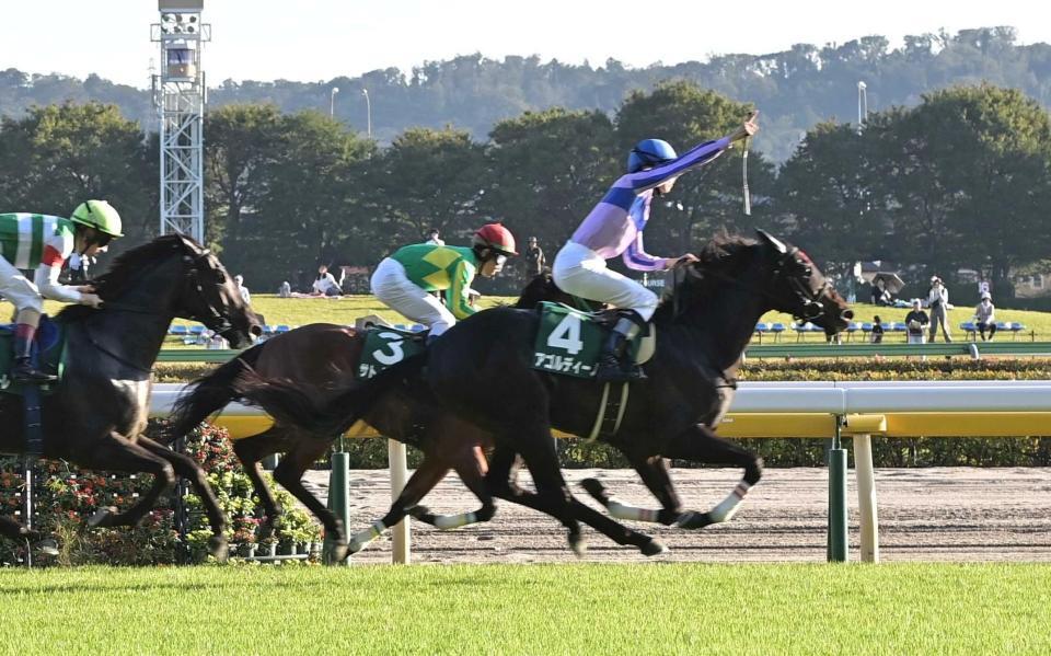 １１ＲサウジアラビアＲＣをアゴルディーノで制しガッツポーズの横山和（撮影・持木克友）