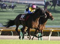 ジョスランをかわすカムニャック（手前）