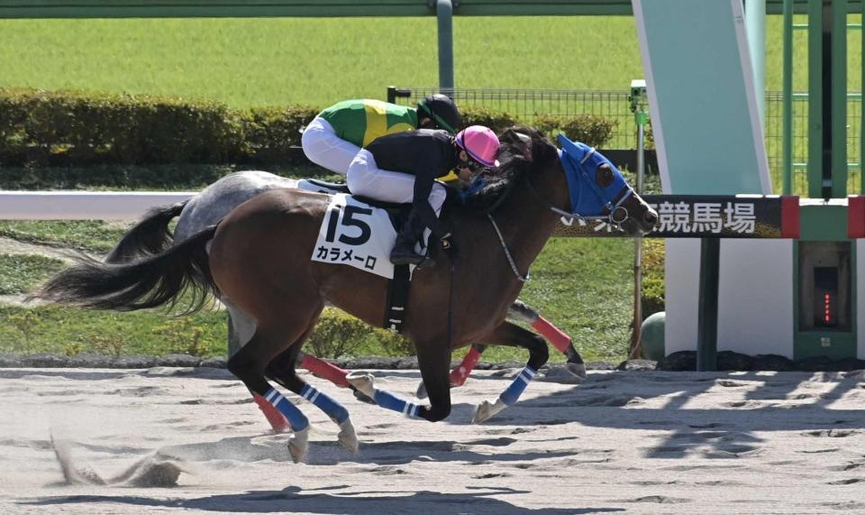メイクデビュー東京を制したカラメーロ（手前）＝撮影・持木克友
