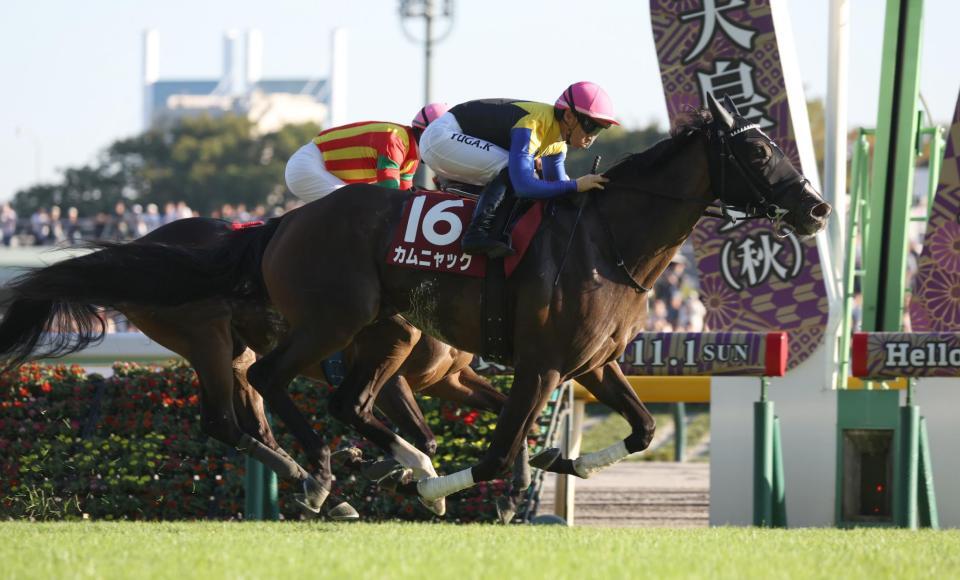 アイルランドＴを勝利したカムニャック（手前）