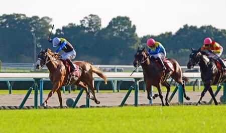 最内をこじ開けるダイヤモンドノット（左）＝京都競馬場（撮影・石湯恒介）
