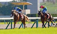 最内をこじ開けるダイヤモンドノット（左）＝京都競馬場（撮影・石湯恒介）