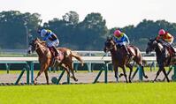 最内をこじ開けるダイヤモンドノット（左）＝京都競馬場（撮影・石湯恒介）
