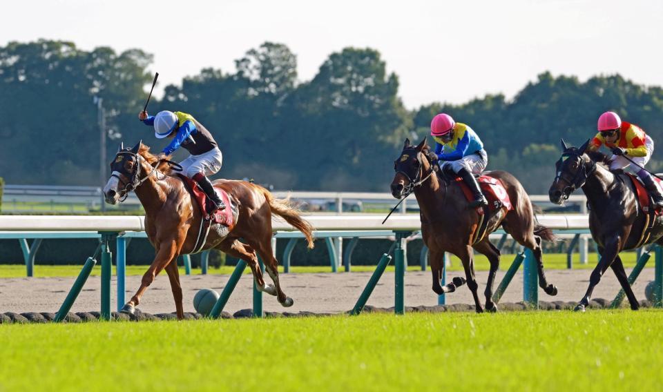 最内をこじ開けるダイヤモンドノット（左）＝京都競馬場（撮影・石湯恒介）