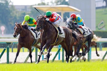 新馬戦を快勝したレインインザスカイ（中央）＝撮影・石湯恒介