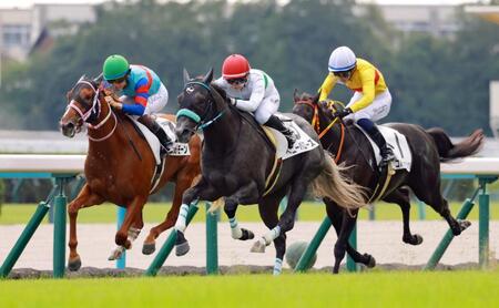 新馬戦を快勝したベニーバローズ（中央）＝撮影・石湯恒介