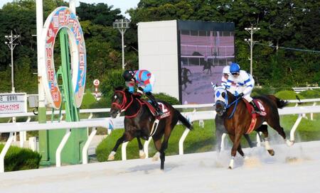 逃げ切って重賞初制覇を果たしたハイラブレジェンド（左）＝撮影・中山伸治
