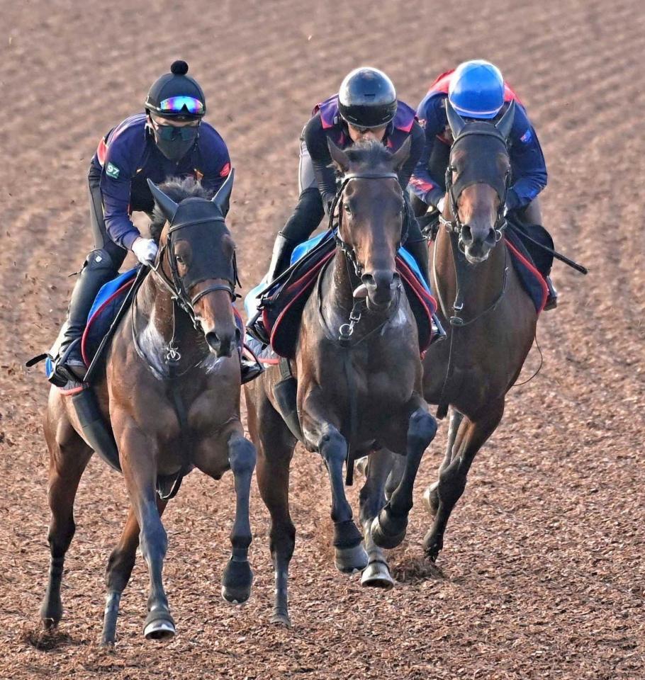 美浦Ｗで３頭併せで追い切るアンパドゥ（中央）＝撮影・持木克友