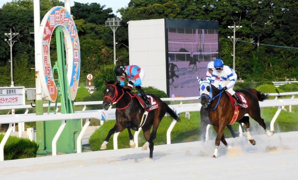 逃げ切って重賞初制覇を果たしたハイラブレジェンド（左）＝撮影・中山伸治