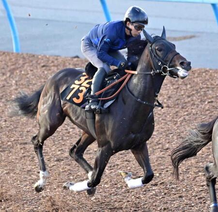 　厩舎期待の良血馬ジェットシェヴロン