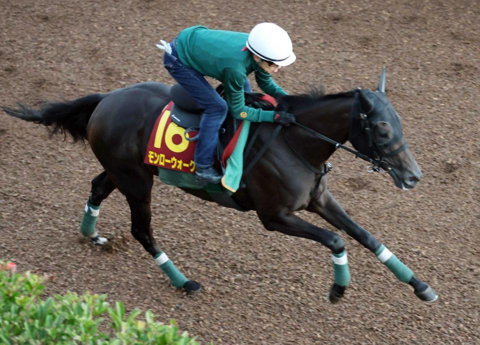 　無傷の５連勝でＧ１奪取を目指すモンローウォーク（撮影・中田匡峻）