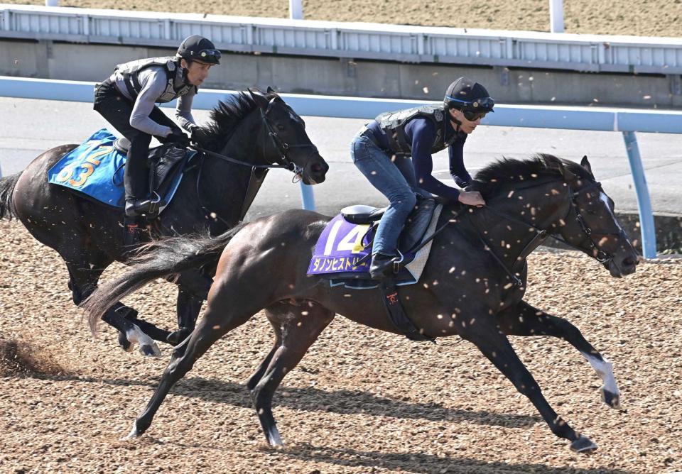 　順調に調整を進めるダノンヒストリー（右）