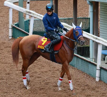 　３連勝の勢いでＧ１に初挑戦するテイエムアイラン