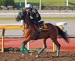 【秋華賞】ギャラボーグ　最内１枠１番に決定　杉山晴師は発馬をポイントに「スムーズに流れに乗れれば」