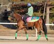 【秋華賞】馬場状態で浮上するのはこの馬だ