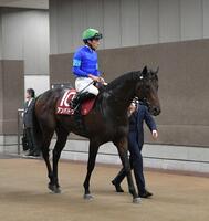 ２着に敗れたアンパドゥ（撮影・持木克友）