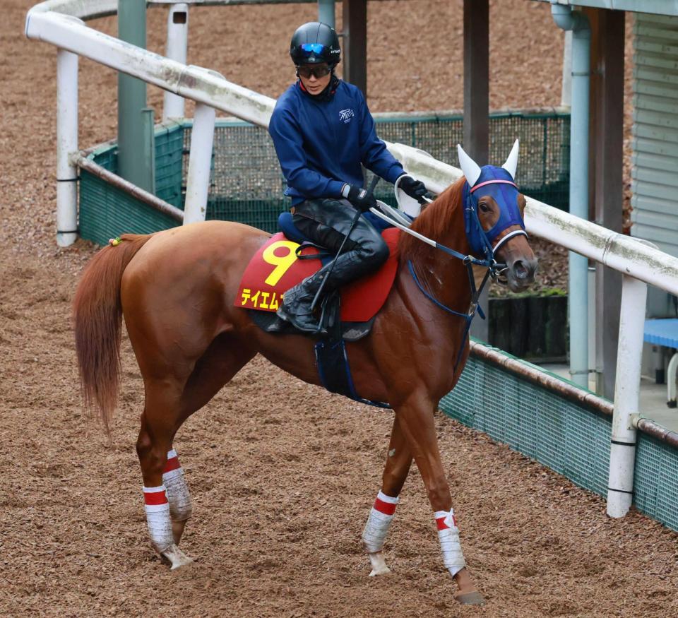 　３連勝の勢いでＧ１に初挑戦するテイエムアイラン