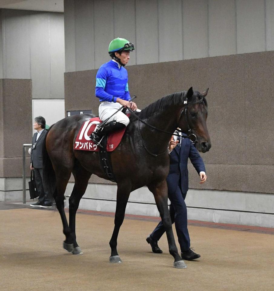 ２着に敗れたアンパドゥ（撮影・持木克友）