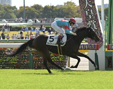 ４Ｒメイクデビュー東京を制したジルファノーガ（撮影・持木克友）