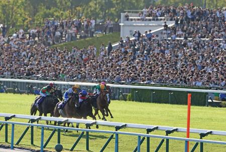 １１Ｒ、秋華賞を制したモンローウォーク（左から２頭目）＝撮影・中田匡峻