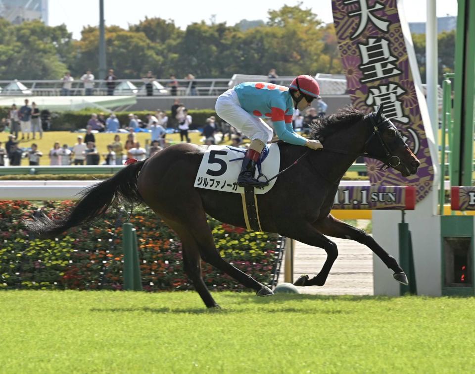 ４Ｒメイクデビュー東京を制したジルファノーガ（撮影・持木克友）